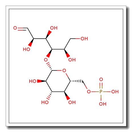 Cellobiose-6'-phosphate CAS 36979-71-2