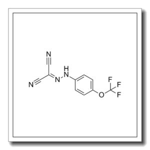 碳酰氰 4-(三氟甲氧基)苯腙