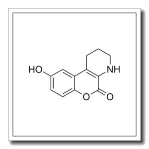 CID-797718