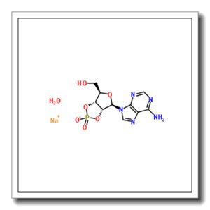 腺苷-2,3 -环状磷酸钠