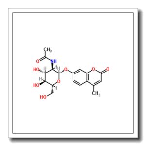 4-甲基香豆素-2-乙酰氨基-2-脱氧-β-D-吡喃葡萄糖苷