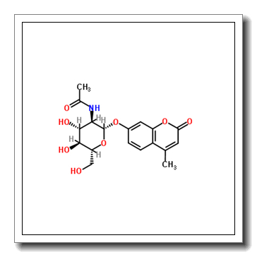 4-METHYLUMBELLIFERYL-N-ACETYL-β-D-GLUCOSAMINIDE CAS 37067-30-4