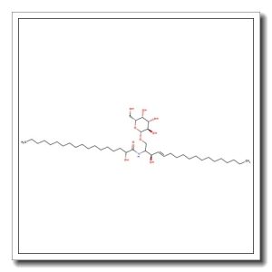 Cerebrosides – Phrenosin