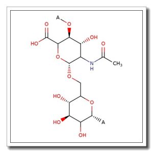 Teichuronic acid