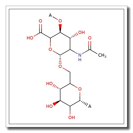 Teichuronic acid
