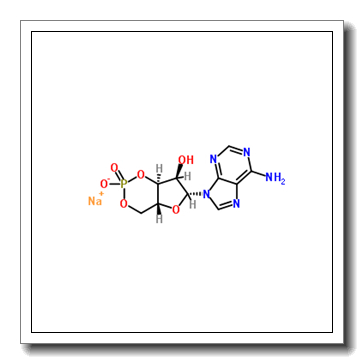 腺苷-3′,5′-环状单磷酸钠水合物