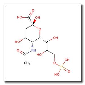 N-Acetylneuraminic acid 9-phosphate