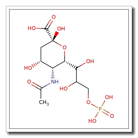 N-Acetylneuraminic acid 9-phosphate