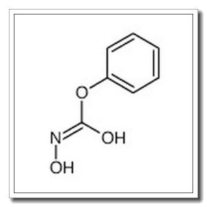 phenyl N-hydroxycarbamate