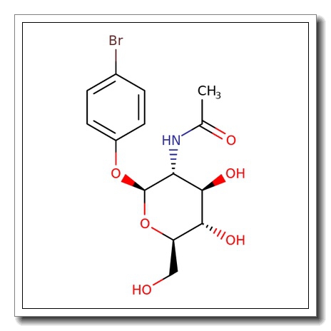 4-Bromophenyl 2-acetamido-2-deoxy-b-D-glucopyranoside