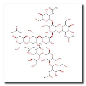 NGA4 N-Glycan