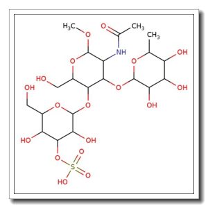 3′-Sulfated Lewis X methyl glycoside