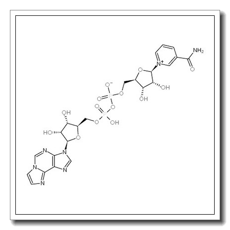 Nicotinamide 1,N6-Ethenoadenine Dinucleotide CAS 38806-38-1 