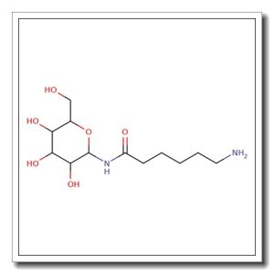 N-(e-Aminocaproyl)-b-D-galactopyranosyl amine