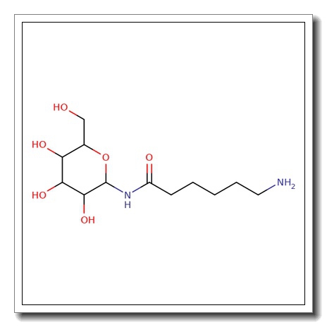 N-(e-Aminocaproyl)-b-D-galactopyranosyl amine