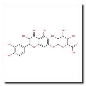 Quercetin 7-O-β-D-glucuronide