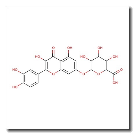 Quercetin 7-O-β-D-glucuronide