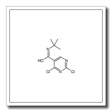 N-tert-butyl-2,4-dichloropyrimidine-5-carboxamide