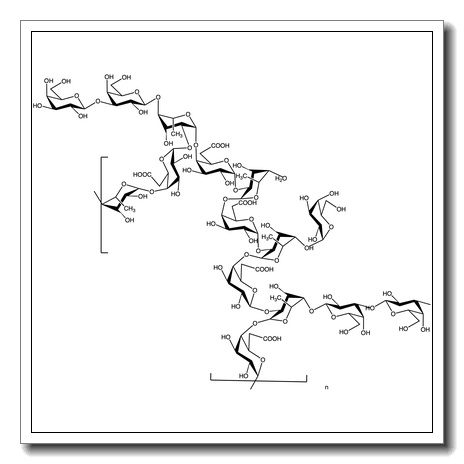 Rhamnogalacturonan – from soy bean