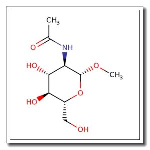 Methyl 2-acetamido-2-deoxy-b-D-glucopyranoside