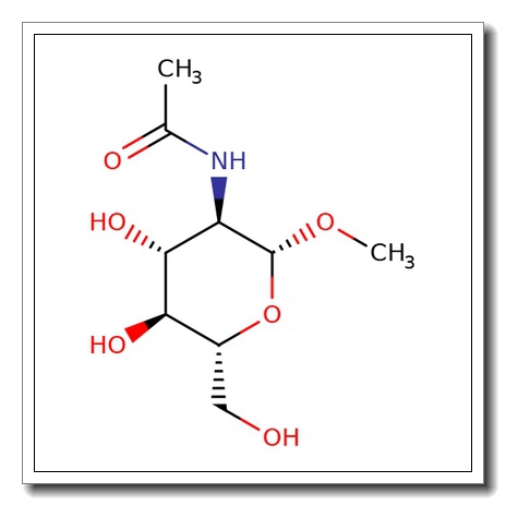 Methyl 2-acetamido-2-deoxy-b-D-glucopyranoside