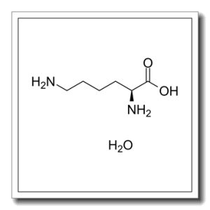 L-赖氨酸一水物