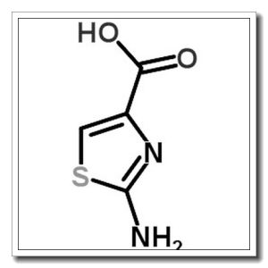 2-氨基噻唑-5-甲酸
