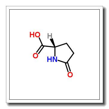 5-oxo-D-proline CAS 4042-36-8