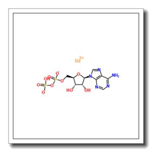 5′-腺苷二磷酸钡盐