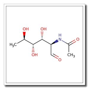 N-Acetyl-D-quinovosamine