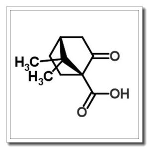 (S)-(+)-酮基蒎酸