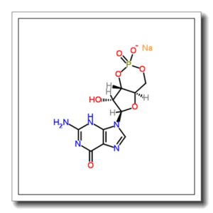 鸟苷-3,5-环单磷酸单钠盐