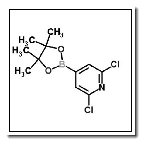 2,6-二氯吡啶-4-硼酸频哪醇酯
