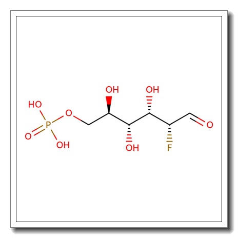 2-Deoxy-2-fluoro-D-glucose 6-phosphate barium salt