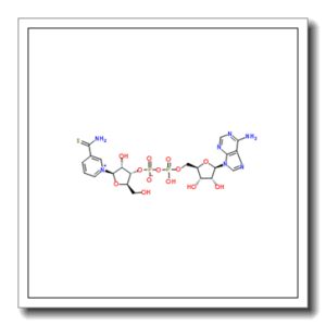 硫代烟酰胺-DPN