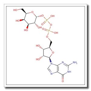 GDP-D-galactose