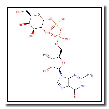 GDP-D-galactose
