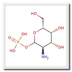 D-Galactosamine-2-N-sulfate sodium