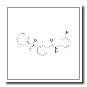 N-(3-溴苯基)-3-[(六氢-1H-氮杂卓-1-基)磺酰基]-苯甲酰胺