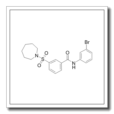 3-(azepan-1-ylsulfonyl)-N-(3-bromophenyl)benzamide CAS 420831-40-9