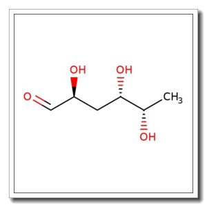 Colloidal Chitin