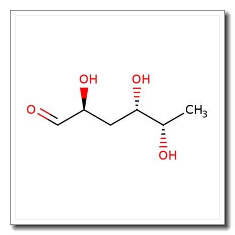 Colloidal Chitin