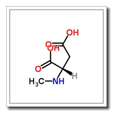 N-Methyl-L-aspartic acid CAS 4226-18-0