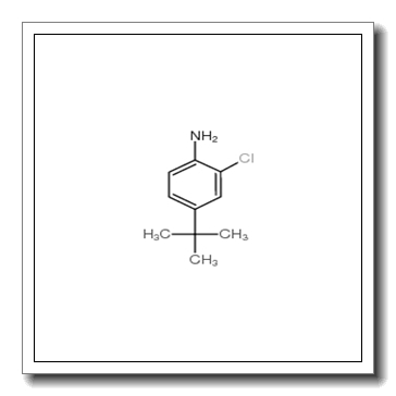 4-tert-butyl-2-chloroaniline CAS 42265-67-8