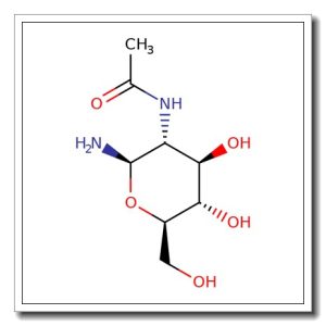 2-Acetamido-2-deoxy-b-D-glucopyranosyl amine