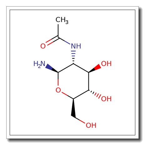 2-Acetamido-2-deoxy-b-D-glucopyranosyl amine