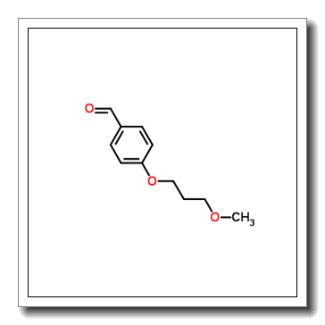 4-(3-Methoxypropoxy)Benzaldehyde CAS 42580-35-8