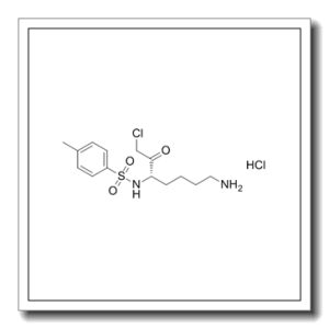 NAlpha-甲苯磺胺基-L-赖氨酸氯甲基酮盐酸盐