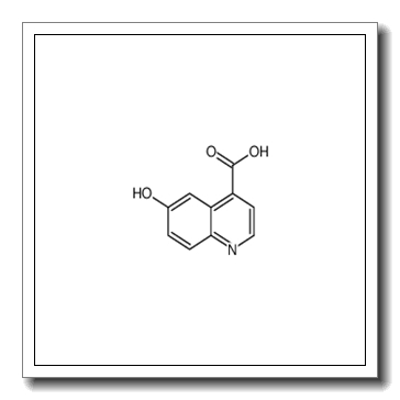 6-hydroxyquinoline-4-carboxylic acid CAS 4312-44-1