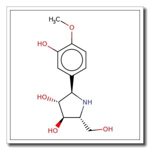 (2R,3R,4R,5R)-2-(3-hydroxy-4-methoxyphenyl)-5-(hydroxymethyl)pyrrolidine-3,4-diol